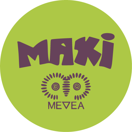 Logo des Mädchenprojektes MAXI